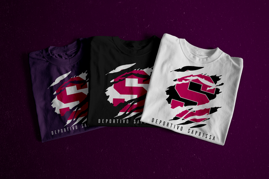 4 Camisas SAP, LDA, CSC, CSH.