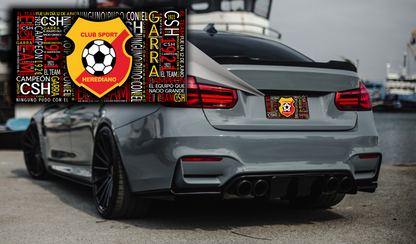 8 Costa Rican Car License Plates
