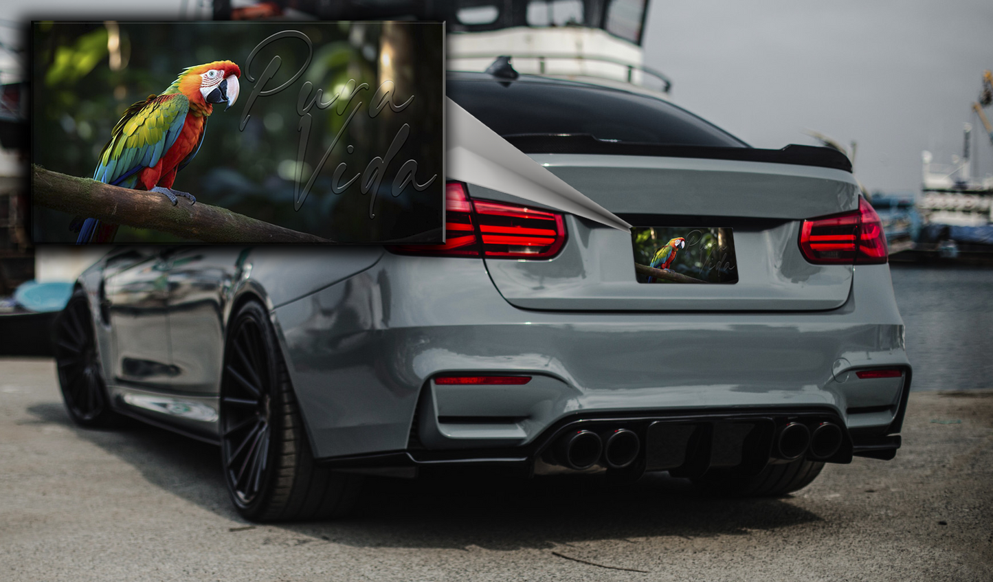 8 Costa Rican Car License Plates
