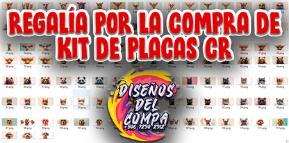 8 Costa Rican Car License Plates