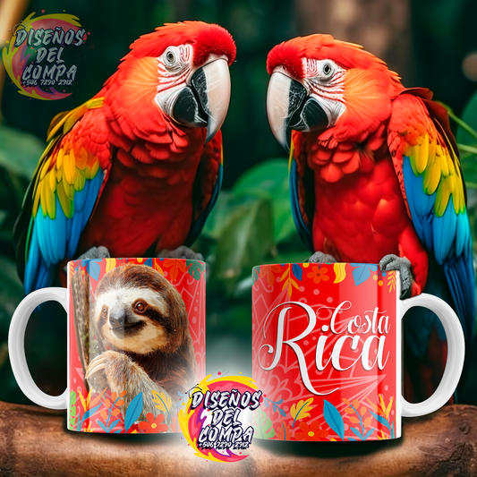 7 Tazas Costa Rica 01