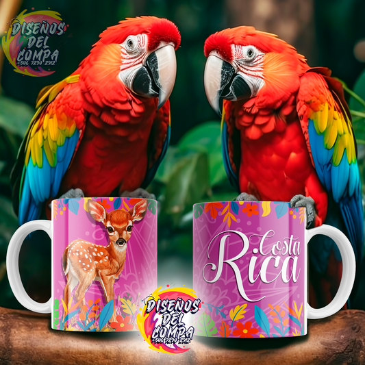 7 Tazas Costa Rica 02